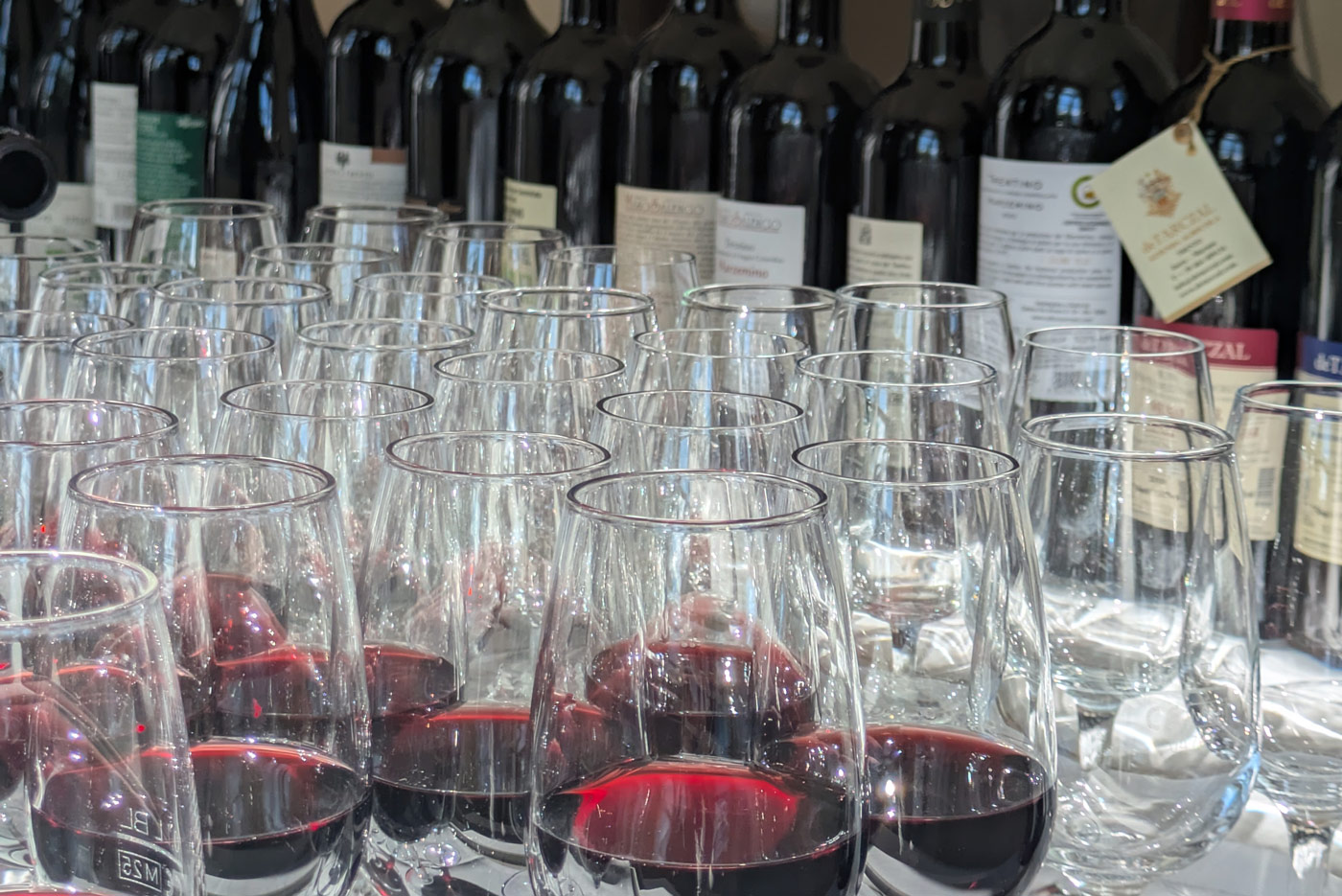 Momenti delle passate edizioni de La Vigna Eccellente a Isera
