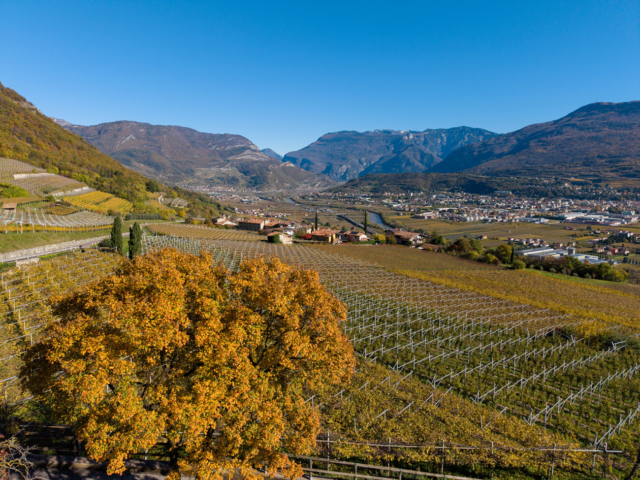 Vigneti e paesaggio della Vallagarina a Isera