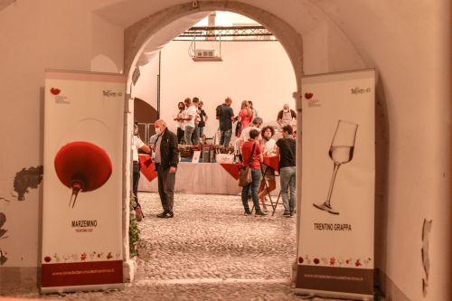 Edizione della Vigna Eccellente – foto 2