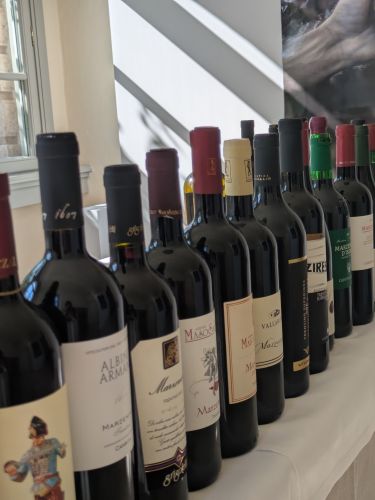 Edizione della Vigna Eccellente – foto 21