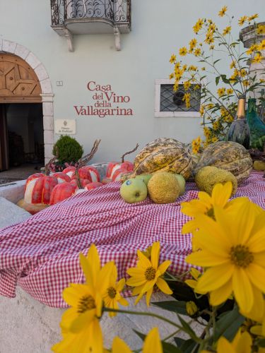 Edizione della Vigna Eccellente – foto 24