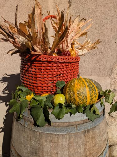 Edizione della Vigna Eccellente – foto 25