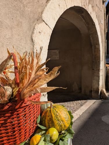 Edizione della Vigna Eccellente – foto 26