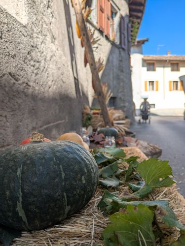 Edizione della Vigna Eccellente – foto 27