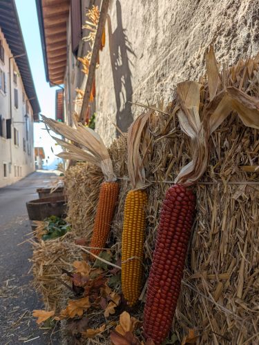 Edizione della Vigna Eccellente – foto 28